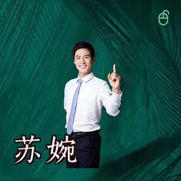 苏婉
